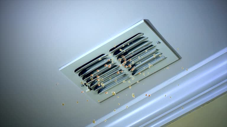 Best Pet Dander and Allergen Removal in Sanford, ME